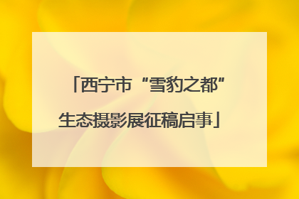 西宁市“雪豹之都”生态摄影展征稿启事