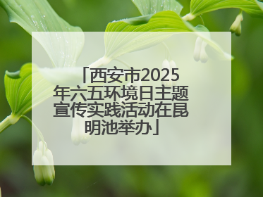 西安市2025年六五环境日主题宣传实践活动在昆明池举办