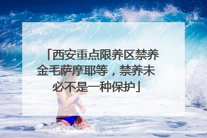西安重点限养区禁养金毛萨摩耶等，禁养未必不是一种保护