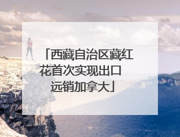 西藏自治区藏红花首次实现出口 远销加拿大