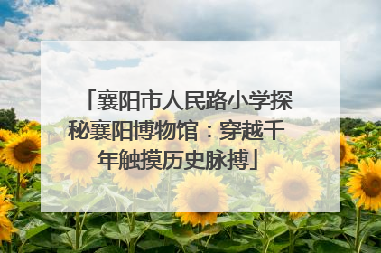 襄阳市人民路小学探秘襄阳博物馆：穿越千年触摸历史脉搏
