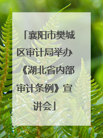襄阳市樊城区审计局举办《湖北省内部审计条例》宣讲会
