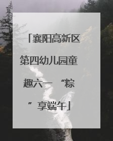 襄阳高新区第四幼儿园童趣六一 “粽”享端午