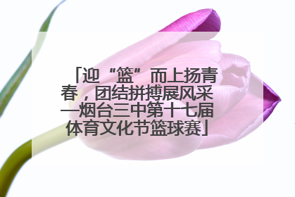 迎“篮”而上扬青春，团结拼搏展风采—烟台三中第十七届体育文化节篮球赛