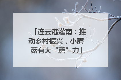 连云港灌南：推动乡村振兴，小蘑菇有大“蘑”力