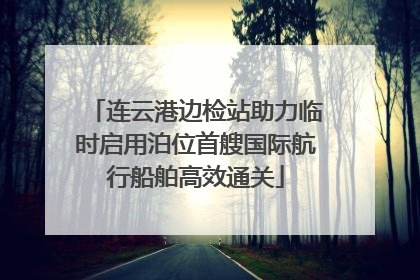 连云港边检站助力临时启用泊位首艘国际航行船舶高效通关