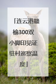 连云港赣榆300双小脚印见证驻村巡察温度