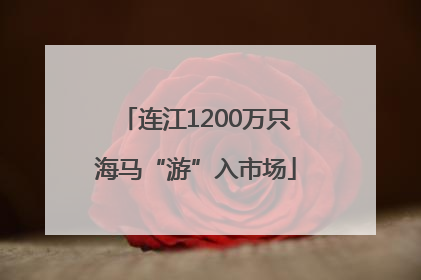 连江1200万只海马“游”入市场
