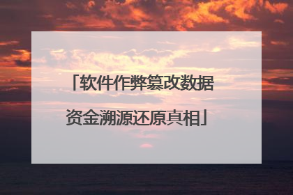 软件作弊篡改数据 资金溯源还原真相