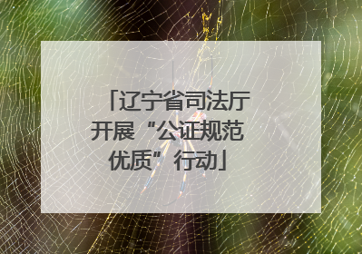 辽宁省司法厅开展“公证规范优质”行动