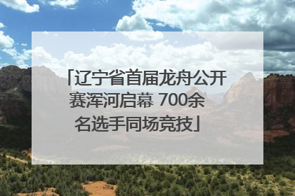 辽宁省首届龙舟公开赛浑河启幕 700余名选手同场竞技