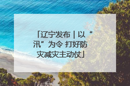 辽宁发布｜以“汛”为令 打好防灾减灾主动仗