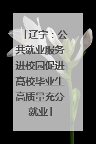 辽宁：公共就业服务进校园促进高校毕业生高质量充分就业