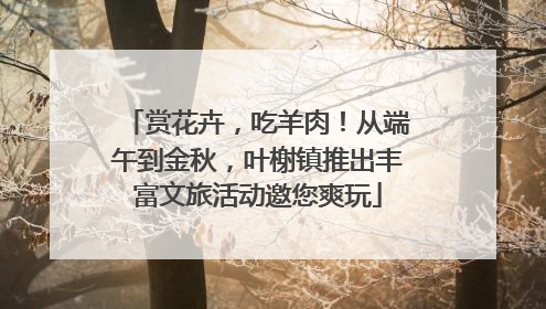 赏花卉，吃羊肉！从端午到金秋，叶榭镇推出丰富文旅活动邀您爽玩