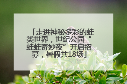 走进神秘多彩的蛙类世界，世纪公园“蛙蛙奇妙夜”开启招募，暑假共18场