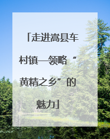 走进嵩县车村镇—领略“黄精之乡”的魅力