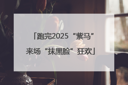 跑完2025“紫马” 来场“抹黑脸”狂欢