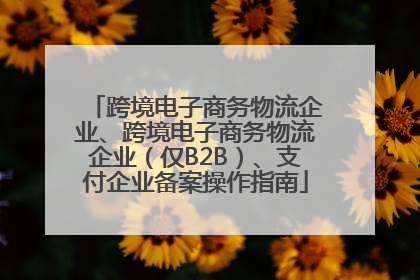 跨境电子商务物流企业、跨境电子商务物流企业（仅B2B）、支付企业备案操作指南