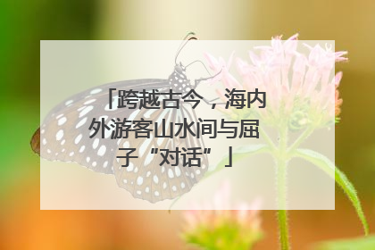 跨越古今，海内外游客山水间与屈子“对话”