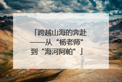 跨越山海的奔赴——从“杨老师”到“海河阿帕”