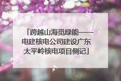 跨越山海觅绿能——电建核电公司建设广东太平岭核电项目侧记