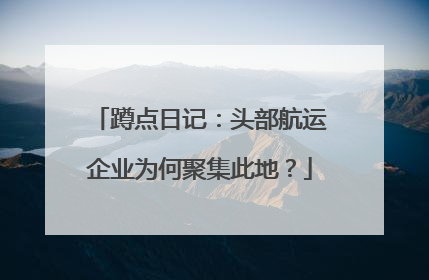 蹲点日记：头部航运企业为何聚集此地？