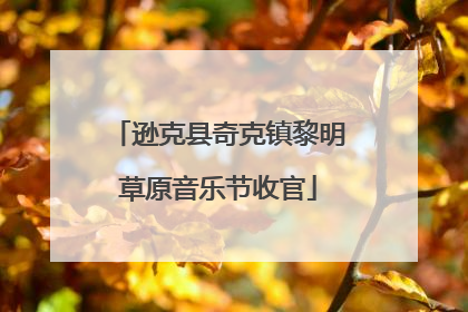 逊克县奇克镇黎明草原音乐节收官