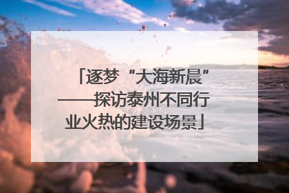 逐梦“大海新晨”——探访泰州不同行业火热的建设场景