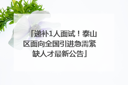 递补1人面试！泰山区面向全国引进急需紧缺人才最新公告