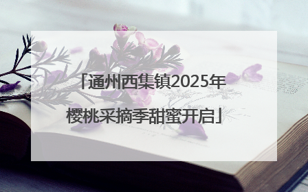 通州西集镇2025年樱桃采摘季甜蜜开启
