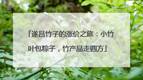 遂昌竹子的涨价之旅：小竹叶包粽子，竹产品走四方