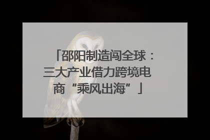 邵阳制造闯全球：三大产业借力跨境电商“乘风出海”