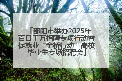 邵阳市举办2025年百日千万招聘专项行动暨促就业“金桥行动”高校毕业生专场招聘会