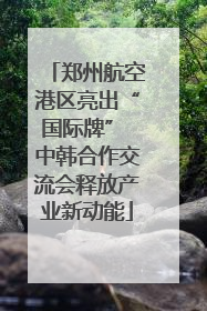 郑州航空港区亮出“国际牌” 中韩合作交流会释放产业新动能