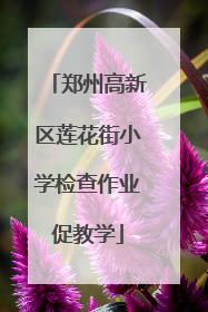 郑州高新区莲花街小学检查作业促教学