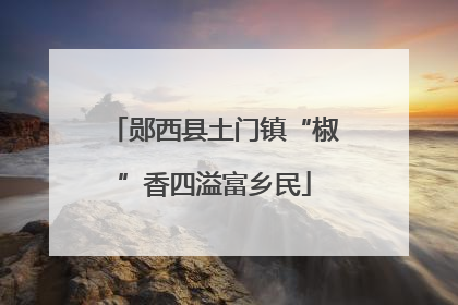 郧西县土门镇“椒”香四溢富乡民