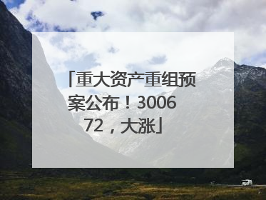 重大资产重组预案公布！300672，大涨