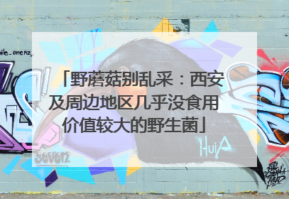 野蘑菇别乱采：西安及周边地区几乎没食用价值较大的野生菌