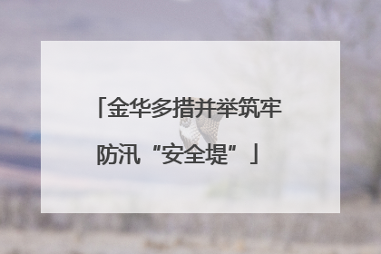 金华多措并举筑牢防汛“安全堤”