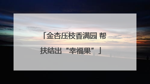 金杏压枝香满园 帮扶结出“幸福果”