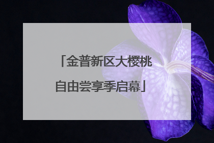 金普新区大樱桃自由尝享季启幕