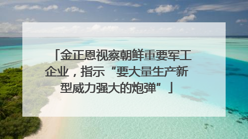 金正恩视察朝鲜重要军工企业，指示“要大量生产新型威力强大的炮弹”