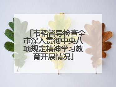 韦韬督导检查全市深入贯彻中央八项规定精神学习教育开展情况