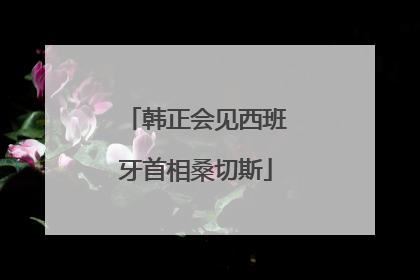 韩正会见西班牙首相桑切斯