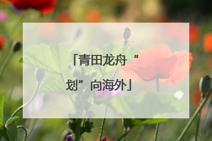 青田龙舟“划”向海外