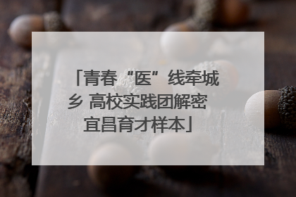青春“医”线牵城乡 高校实践团解密宜昌育才样本