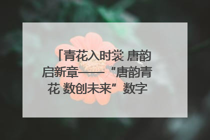 青花入时裳 唐韵启新章——“唐韵青花 数创未来”数字文创设计大赛启幕