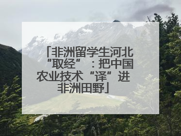 非洲留学生河北“取经”：把中国农业技术“译”进非洲田野
