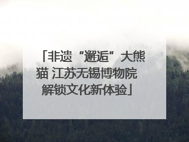 非遗“邂逅”大熊猫 江苏无锡博物院解锁文化新体验