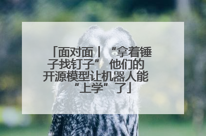 面对面丨“拿着锤子找钉子” 他们的开源模型让机器人能“上学”了